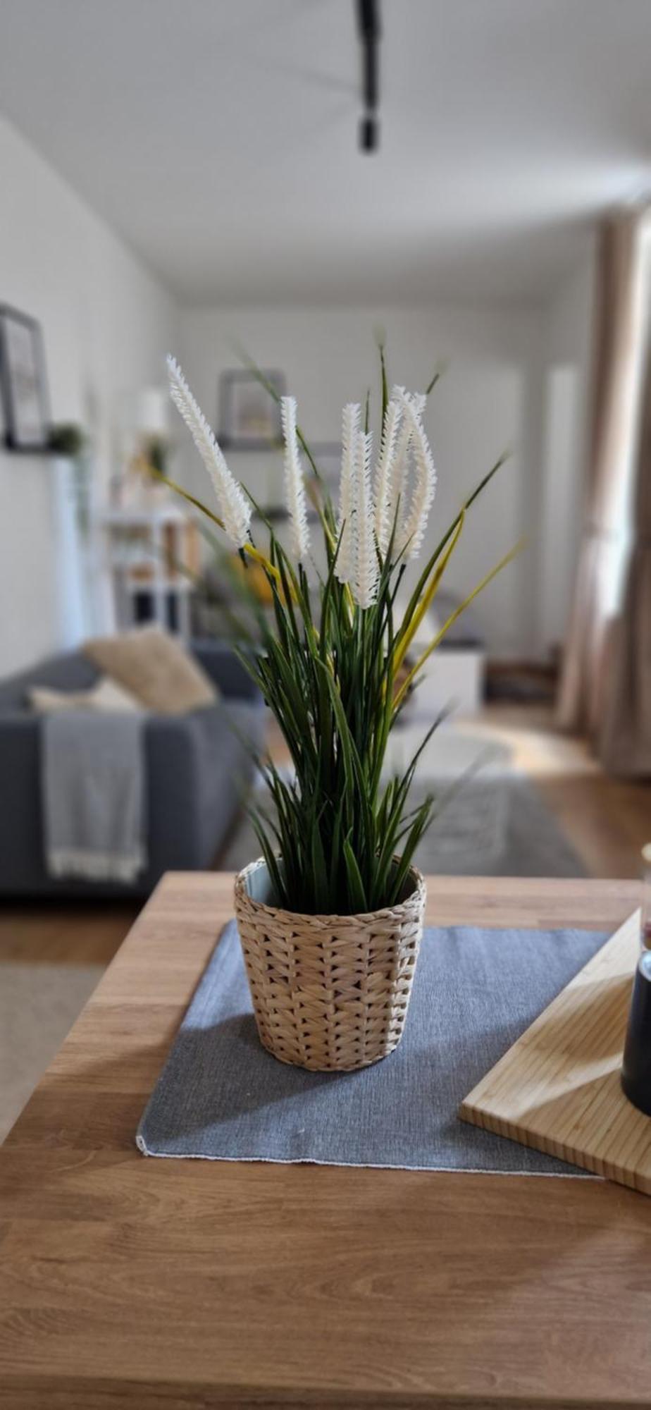 Charleroi Cozy Home Екстер'єр фото