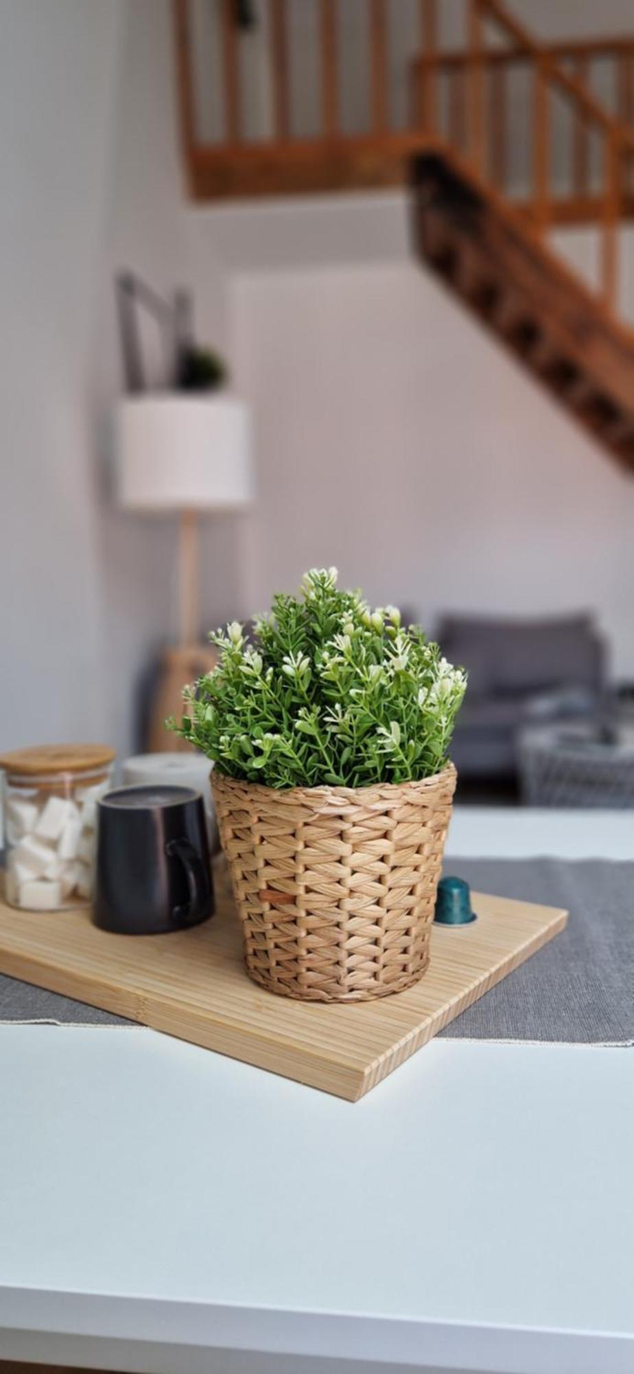 Charleroi Cozy Home Екстер'єр фото